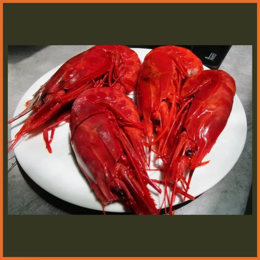 Carabineros
