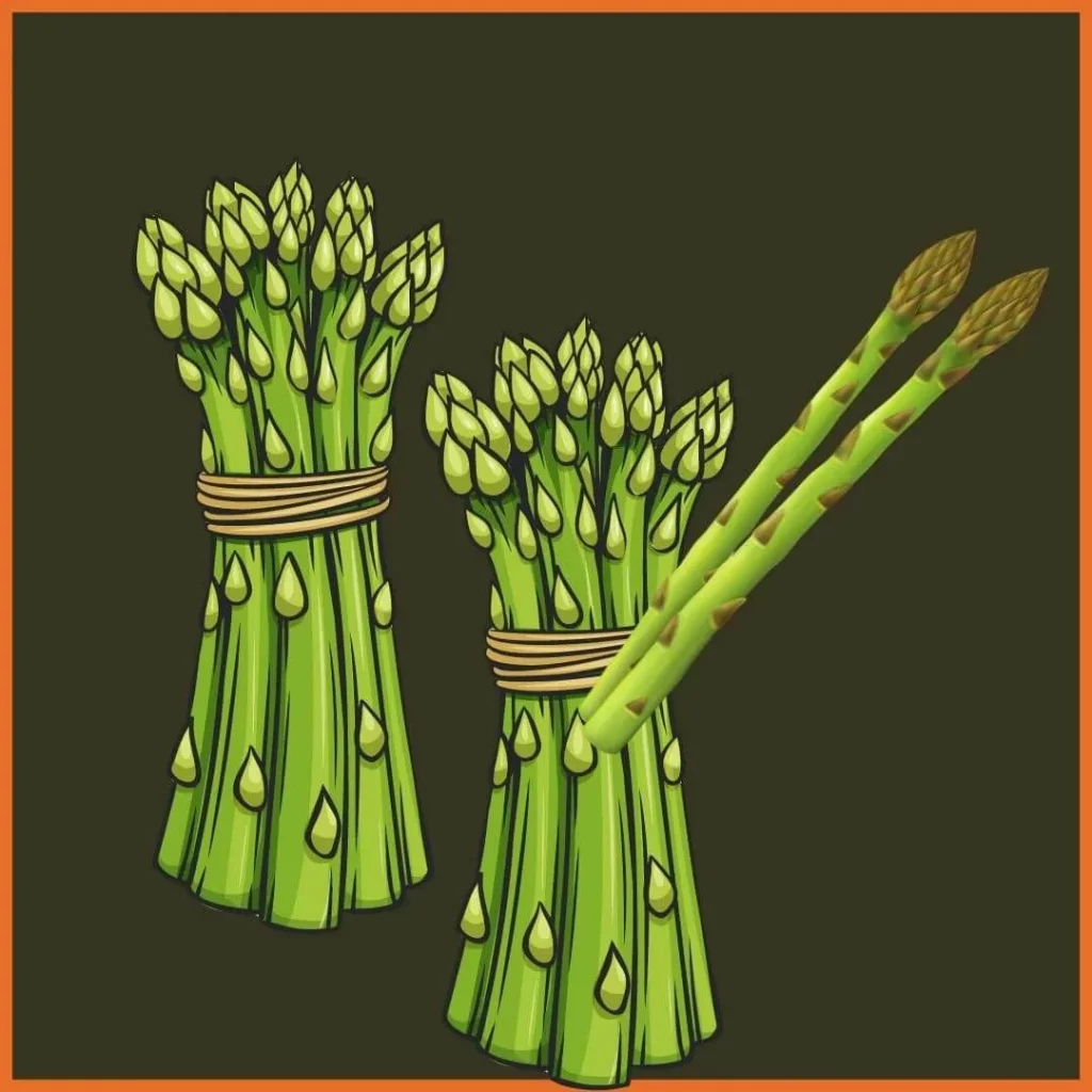 Espárragos trigueros